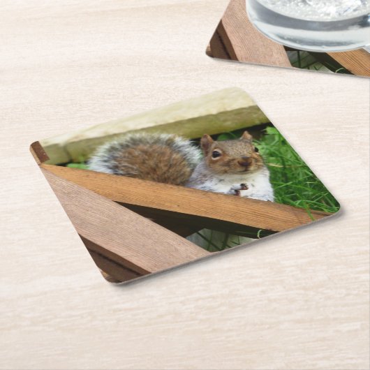 Niedlich Wild Gray Squirrel (UK) Rechteckiger Pappuntersetzer (angewinkelt)