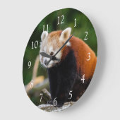 Niedlich Wild Red Panda Foto Große Wanduhr (Winkel)