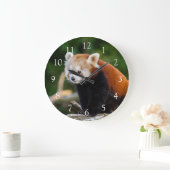 Niedlich Wild Red Panda Foto Große Wanduhr (Zuhause)