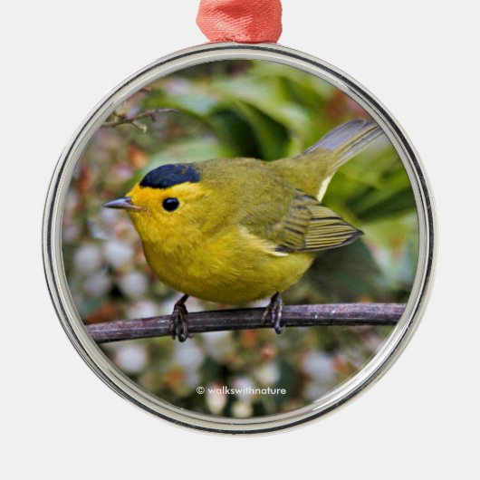 Niedlich Wilson's Warbler Songbird auf der Grapevi Ornament Aus Metall (Vorne)