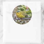 Niedlich Wilson's Warbler Songbird auf der Grapevi Runder Aufkleber (Tasche)