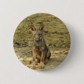 Niedlich Wolf Cub Button (Vorderseite)