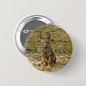Niedlich Wolf Cub Button (Vorne & Hinten)