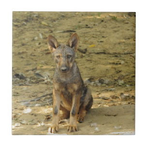 Niedlich Wolf Cub Fliese