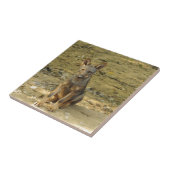Niedlich Wolf Cub Fliese (Seite)