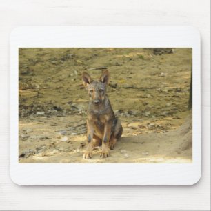 Niedlich Wolf Cub Mousepad