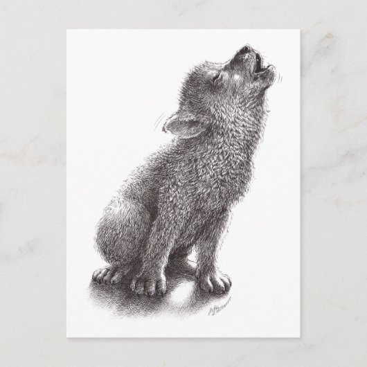 Niedlich Wolf Pup Postkarte (Vorderseite)