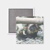 Niedlich Wolverine Magnet (Vorderseite/Rückseite)