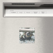 Niedlich Wolverine Magnet (In Situ (Geschirrspüler))