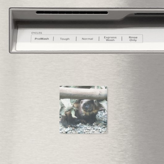 Niedlich Wolverine Magnet (In Situ (Geschirrspüler))