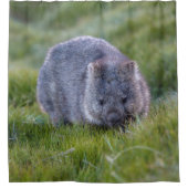 Niedlich Wombat Wildlife Animal Australia Green Duschvorhang (Vorderseite)