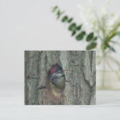 Niedlich Woodpecker Youngling DIY Postkarte (Stehend Vorderseite)