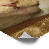 Niedlich Yellow Kiteboster Poster (Ecke)