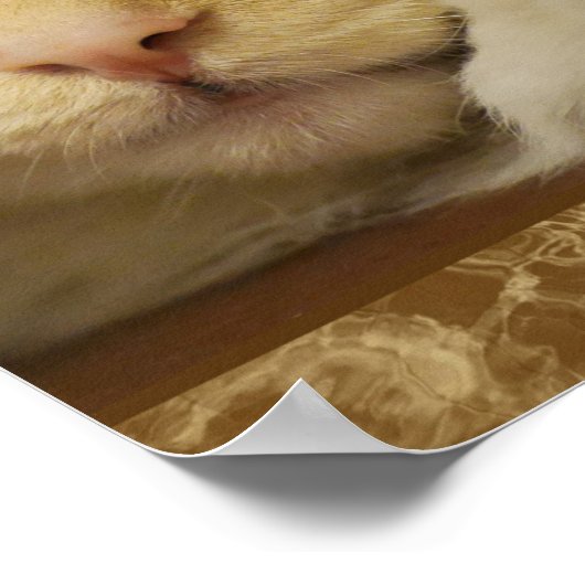 Niedlich Yellow Kiteboster Poster (Ecke)