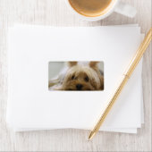 Niedlich Yorkie Adressaufkleber (Insitu)