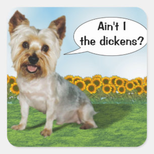 Niedlich Yorkie Ain nicht die Dickens? Quadratischer Aufkleber