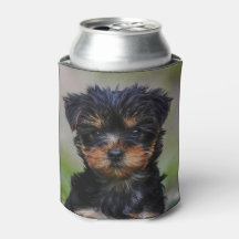 Niedlich Yorkie Puppy