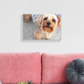 Niedlich Yorkie Puppy Leinwanddruck (Insitu (Wohnzimmer))