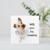 Niedlich Yorkie Puppy Yorkshire Terrier Party Einladung (Stehend Vorderseite)