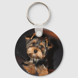 Niedlich Yorkie Yorkshire Terrier Dog Schlüsselan Schlüsselanhänger