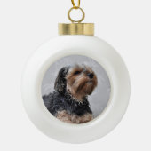 Niedlich Yorkie Yorkshire Terrier Sunbaden Keramik Kugel-Ornament (Vorderseite)