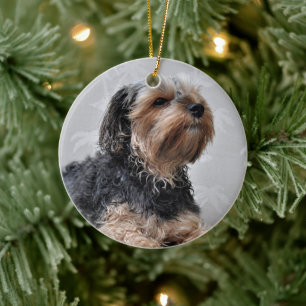 Niedlich Yorkie Yorkshire Terrier Sunbaden Keramik Ornament
