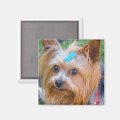Niedlich Yorkshire Terrier Dog Head Magnet (Vorderseite/Rückseite)