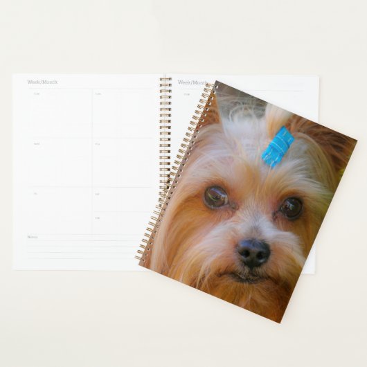 Niedlich Yorkshire Terrier Dog Head Planer (Anzeige)