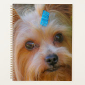 Niedlich Yorkshire Terrier Dog Head Planer (Vorderseite)