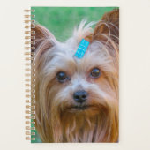 Niedlich Yorkshire Terrier Dog Head Planer (Vorderseite)