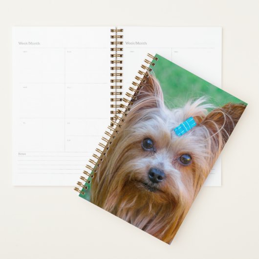 Niedlich Yorkshire Terrier Dog Head Planer (Anzeige)