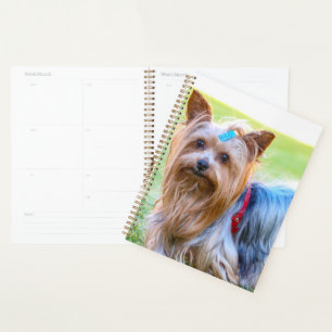 Niedlich Yorkshire Terrier Dog Head Planer