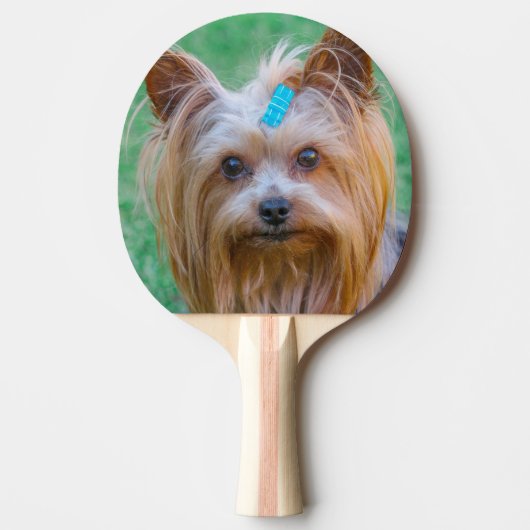 Niedlich Yorkshire Terrier Dog Head Tischtennis Schläger (Vorderseite)