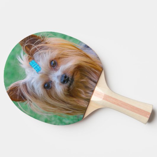 Niedlich Yorkshire Terrier Dog Head Tischtennis Schläger (Seitenansicht)