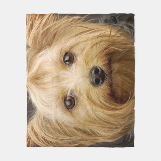 Niedlich Yorkshire Terrier Fleecedecke (Vorderseite)