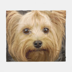 Niedlich Yorkshire Terrier Fleecedecke