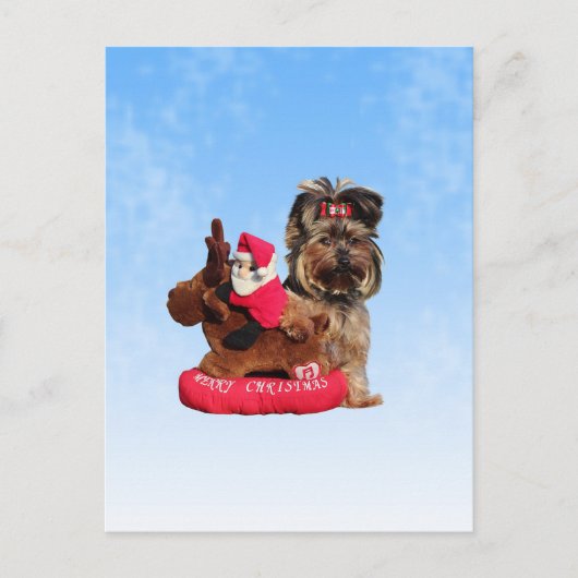 Niedlich Yorkshire Terrier Frohe Weihnachten (Vorderseite)