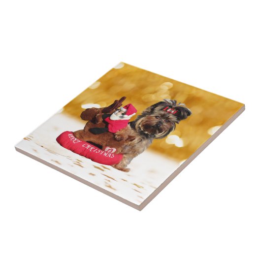 Niedlich Yorkshire Terrier Frohe Weihnachten Fliese (Seite)