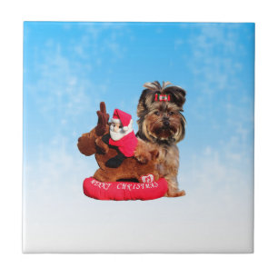 Niedlich Yorkshire Terrier Frohe Weihnachten Fliese