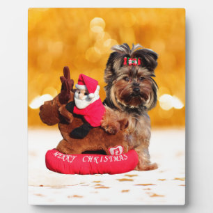 Niedlich Yorkshire Terrier Frohe Weihnachten Fotoplatte