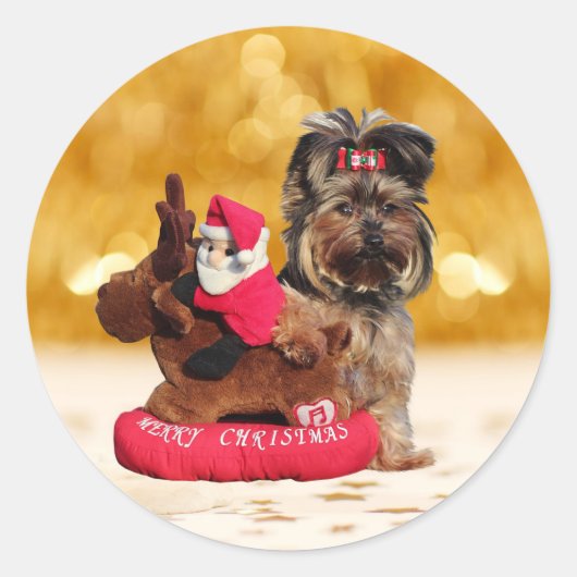 Niedlich Yorkshire Terrier Frohe Weihnachten Runder Aufkleber (Vorderseite)