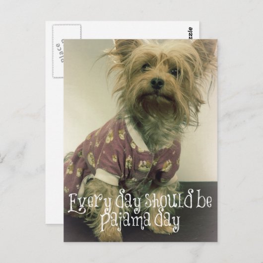 Niedlich Yorkshire Terrier in Pajamas mit Zitat Postkarte (Vorne/Hinten)