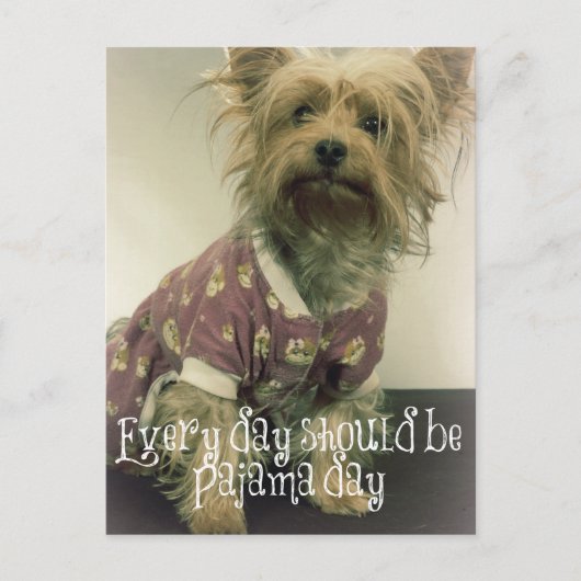 Niedlich Yorkshire Terrier in Pajamas mit Zitat Postkarte (Vorderseite)