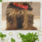 Niedlich Yorkshire Terrier Küchentuch (Gefaltet)