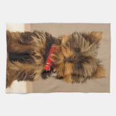Niedlich Yorkshire Terrier Küchentuch (Horizontal)