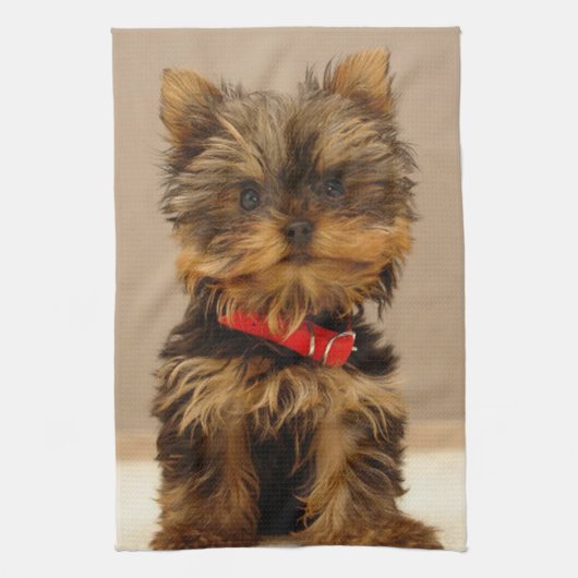 Niedlich Yorkshire Terrier Küchentuch (Vertikal)