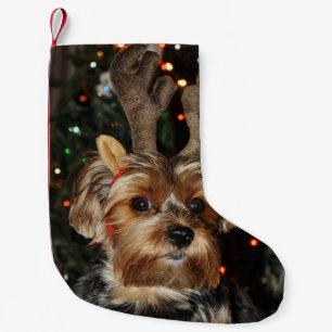 Niedlich Yorkshire Terrier mit Reindeer Antlers Kleiner Weihnachtsstrumpf