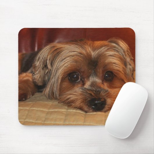 Niedlich Yorkshire Terrier Mousepad (Mit Mouse)