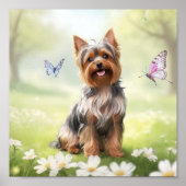 Niedlich Yorkshire Terrier Poster (Vorne)
