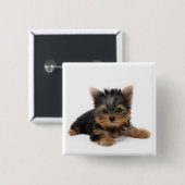 Niedlich Yorkshire Terrier Puppy Button (Vorne & Hinten)